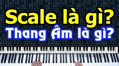 Scale trong âm nhạc là gì năm 2024