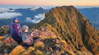 Hikurangi April 