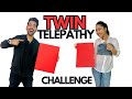 TWIN TELEPATHY Challenge | Rimorav Vlogs