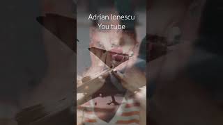 Adrian Ionescu nu Mam Gndit La Desprirecover  cover song
