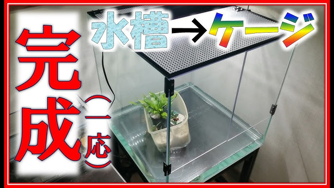 ケージ自作 本格1枚扉式 小型ケージを作る Adaクリアガラスフタ5枚使用 015 Youtube ケージ自作 本格1枚扉式 小型ケージを作る Adaクリアガラスフタ5枚使用 015 Youtube