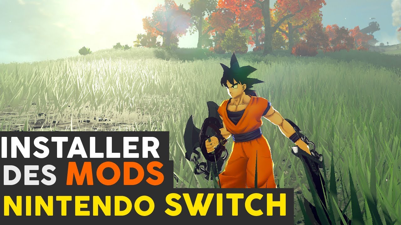 Tuto Installer Des Mods Sur Nintendo Switch Youtube
