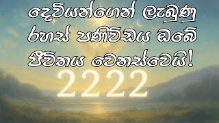 2222 අංකයෙහි අරමුණු සහ දෙවියන්ගෙන් ලැබෙන පණිවිඩය | 2222 Angel Number Meaning Sinhala Profile