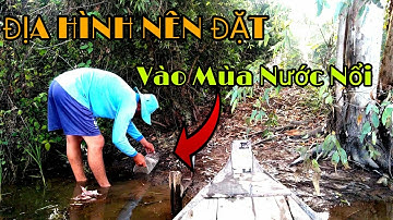 Địa Hình Nên Đặt Lợp Ếch Vào Mùa Nước Nổi || Bẫy Ếch Theo Nền Nhà Chạy Nhiều Kinh Khủng || Học vlog