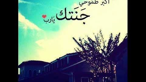 نآصر القطامي - سورة الفجر