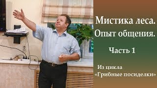 видео: Мистика леса. Рассказы бывалых. Часть 1 картинка: Мистика леса. Рассказы бывалых. Часть 1