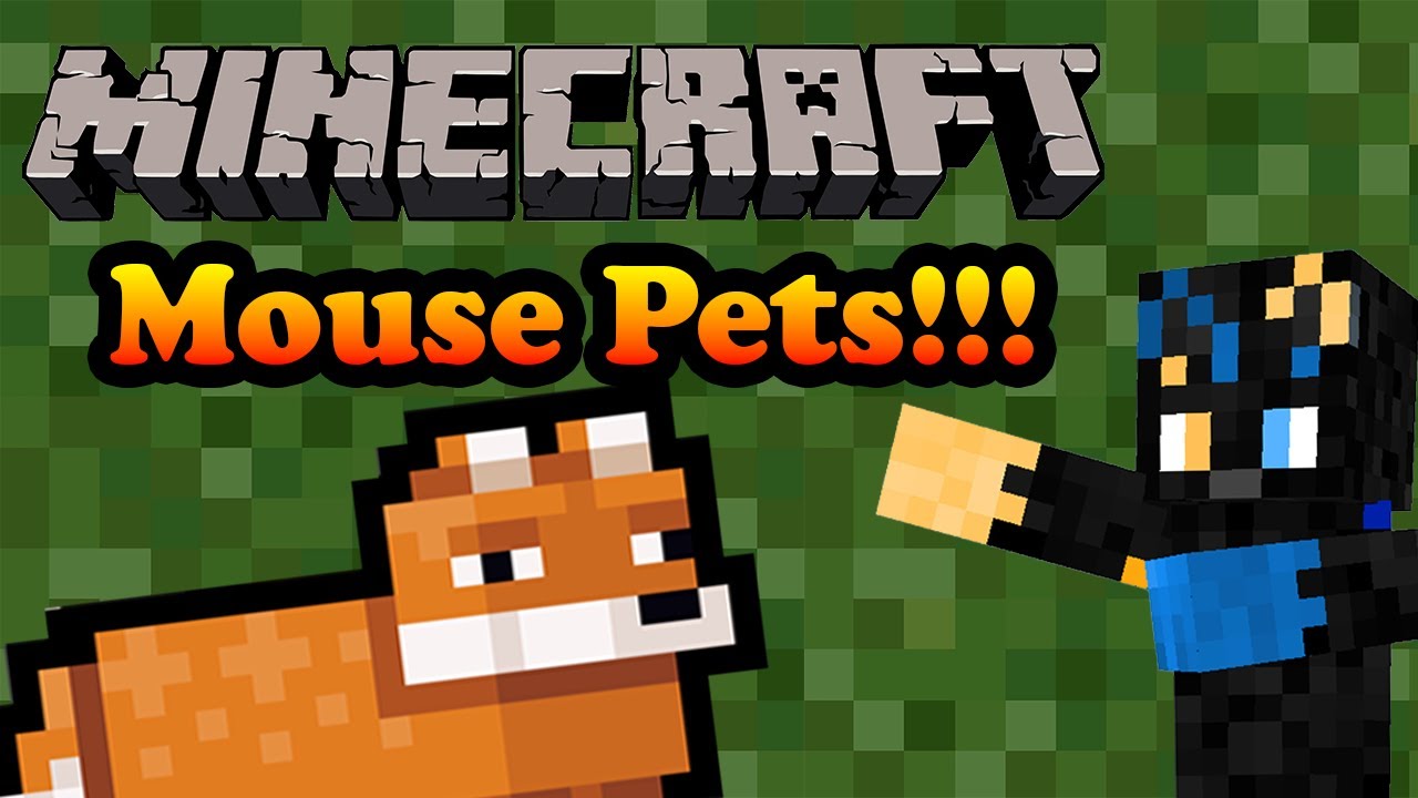 Minecraft Mod Showcase: Mouse pets!!! - YouTube