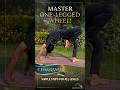 #chakrasan #health #morning #motivation #public #yogasthal #india #viral #trending #new #viralvideo