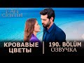 Кровавые цветы 190 серия на русском языке. Новый турецкий сериал