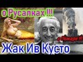 Жак Ив Кусто !!! о Русалках !!!  о Пожаре !!!