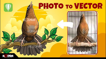 Belajar membuat desain burung DARI FOTO JADI VECTOR || menggunakan CorelDRAW X5