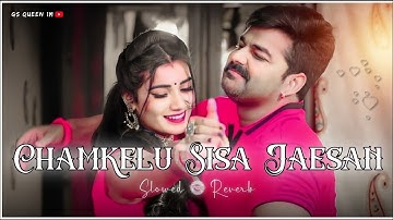chamkelu sisa jaisan lofi | [ Slowed + Reverb ] | Bhojpuri Lofi Song | Pawan Singh Song |