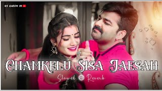 chamkelu sisa jaisan lofi | [ Slowed + Reverb ] | Bhojpuri Lofi Song | Pawan Singh Song | screenshot 3