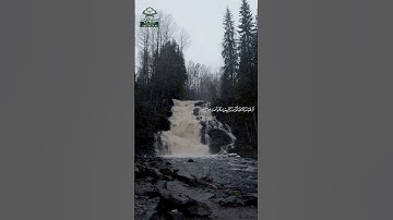 سورة القلم • مكية • بصوت سعود الشريم | عدد الآيات: 52 #قرآن #Quran #تلاوة #قرآن_كريم #القلم