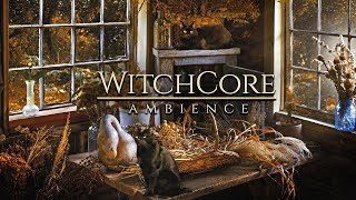 WitchCore ◈ Autumn Forest  Good Witch Cabin / Cats, Herbs, Light Rain + Soft Music