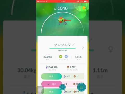 ポケモンgo ヤンヤンマを進化٩ W و メガヤンマ誕生 Youtube