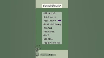 🌳Một số từ vựng tiếng Hàn chủ đề: Tự nhiên (자연) #hoctienghan #tuvungtienghan #tunhien #단어공부 #korean