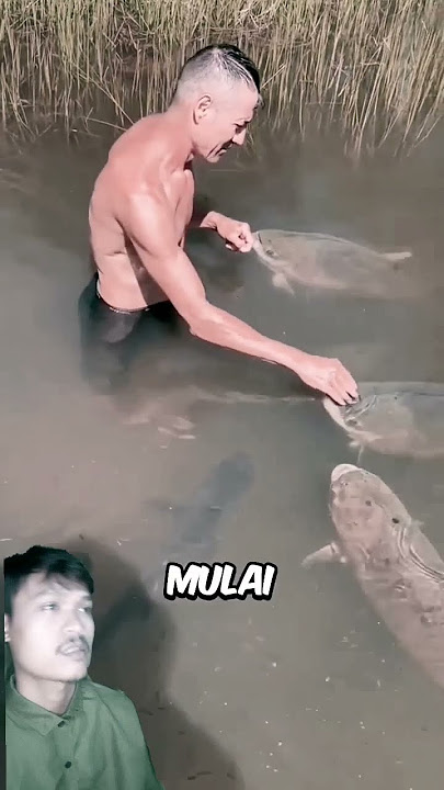 Semua ikan mencintai pria ini #shorts #shortvideo #trending