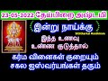 23-05-2022 சகல ஐஸ்வர்யங்கள் தரும் இன்று நாய்க்கு இந்த உணவு குடுத்தால் போ...