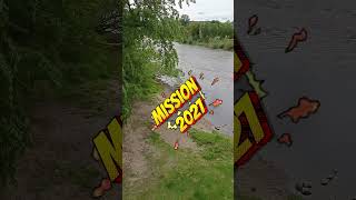 Goldwaschen an der Moldau: Wir haben den Spot gefunden! ✨