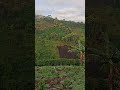 Ruta Opita  en zona rural de San Agustín