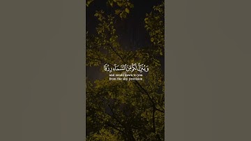 تلاوة هادئه #المصحف #راحة_نفسية