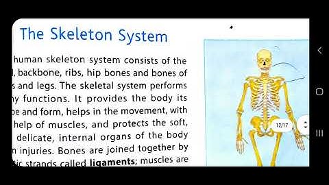 Structure and Function of Living Organism-Animals  part 3