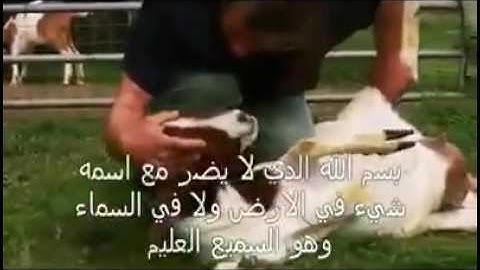 بمجرد اذكار اسم الله عليه تستسلم وسبحان الله الذي يعلم ما يلج في الارض