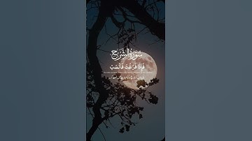 سورة الشرح | #قرآن #قران_كريم #تلاوة #quran #qurantilwat #subscribe #subscribemychannel #subscribers