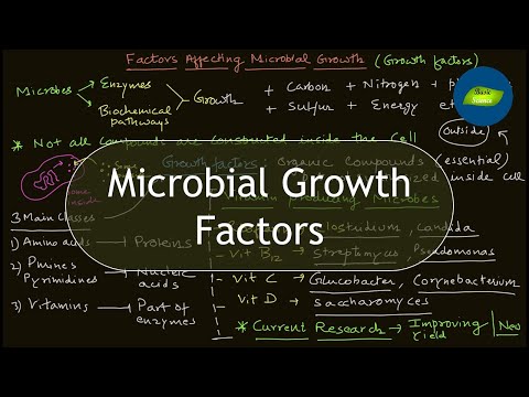 Video: Wat zijn de chemische factoren die de microbiële groei beïnvloeden?