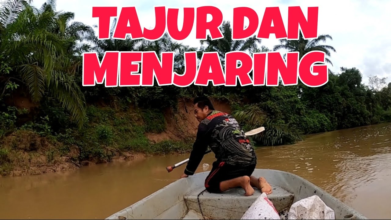 DIGANGGU KETIKA BALIK TAJUR DAN MENJARING .... #BAUNG # LAMPAM #KERAI