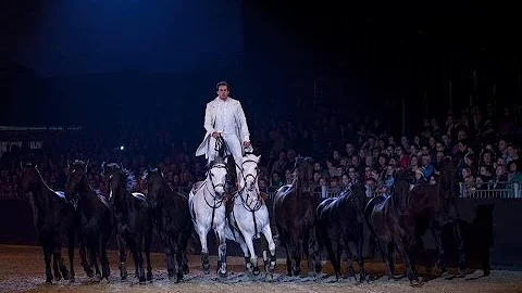 LORENZO INTERNATIONAL HORSE SHOW HD