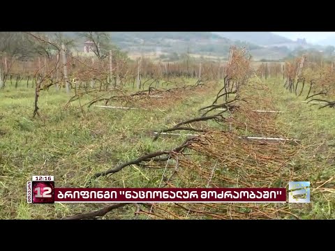 ენმ-ის ბრიფინგი კახეთში არსებულ მძიმე სოციალურ მდგომარეობაზე