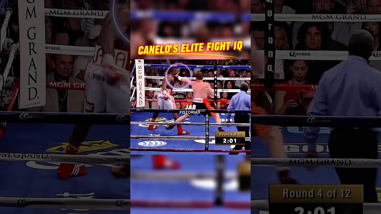 Элитный боксерский IQ Канело 