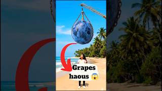 Fruit House Experiment 😱 #shorts #viralvideo #grape #fruit #experiment #india #trending #diy #house