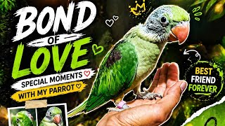 Get ready for a heartwarming moments Raw parrot hand feeding baby #live 