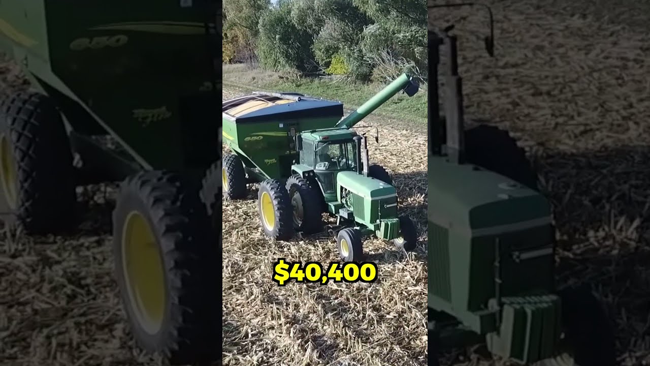 How Much I Made Farming From Scratch 1st Year 
