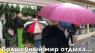 Сочи … Жизнь она и есть тот главный клад, что ищем мы неутомимо