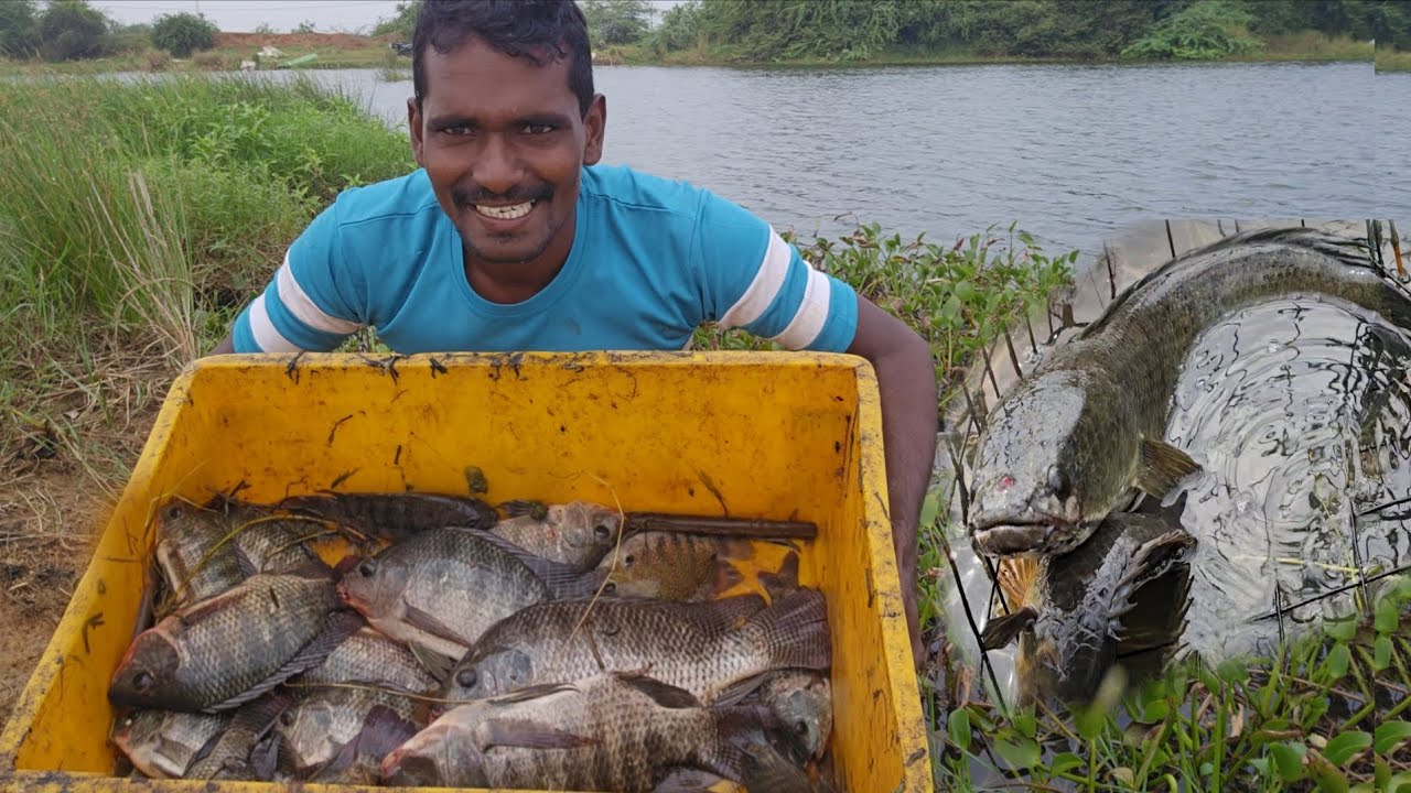 ఇన్ని రోజులు నా చేపల వేటలో ఇలాంటి చేపని ఎప్పుడు చూడలేదు || Village life fishing video 