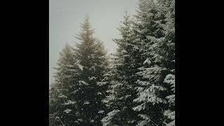 Jordan Mitchell- Evergreen Official Audio