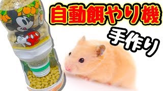 「小動物用」自動餌やり機作り方‼️空きペットボトルで作れちゃう