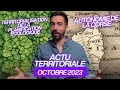 Actu territoriale octobre 2023  planification cologique autonomie de la corse