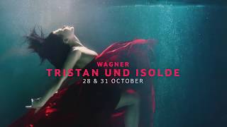 2020 TRISTAN & ISOLDE TRAILER