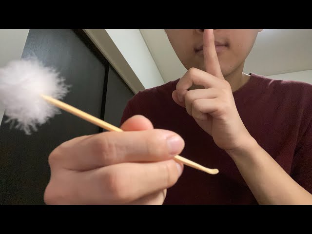 【声無しASMR】あなたの耳を黙々とキレイにします