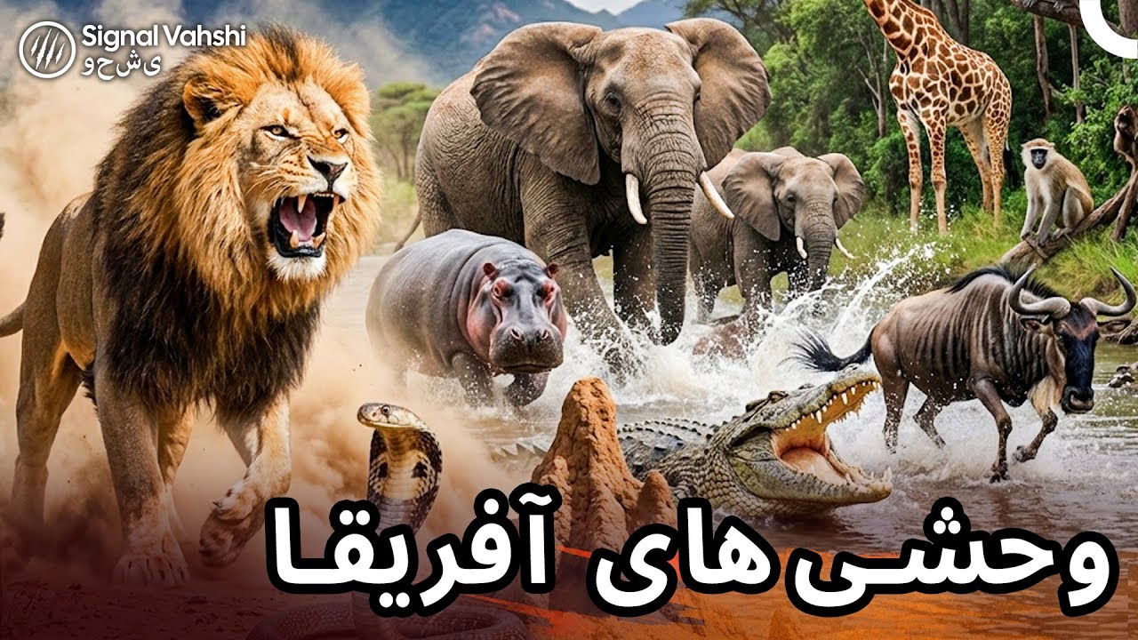 وحشی‌ترین چهره آفریقا☠️ | مستند فارسی