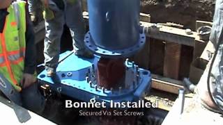 Celebrity Fox Tapping - Team 12" Insertion Valve.m4v Profile