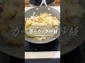悪魔的にうまい!男性イチコロ ガーリック炒飯 #男飯 #飯テロ #にんにく