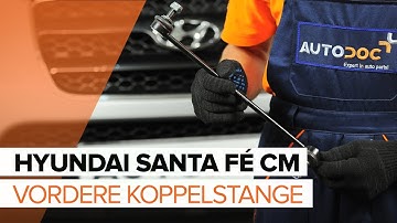 Wie HYUNDAI SANTA FÉ CM  vordere Koppelstange / Pendelstütze wechseln TUTORIAL | AUTODOC