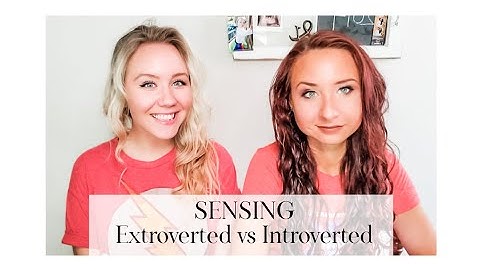 The Definitive Video: Si vs. Se (Introverted Sensing vs. Extroverted Sensing)