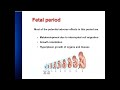 Drug Prescription In Pregnancy 